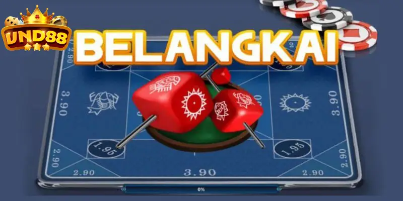 Belangkai là gì?
