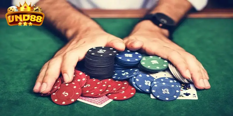 Đặt cược game bài online có chiến thuật giúp bạn tăng xác suất thắng cao Đặt cược game bài online có chiến thuật giúp bạn tăng xác suất thắng cao